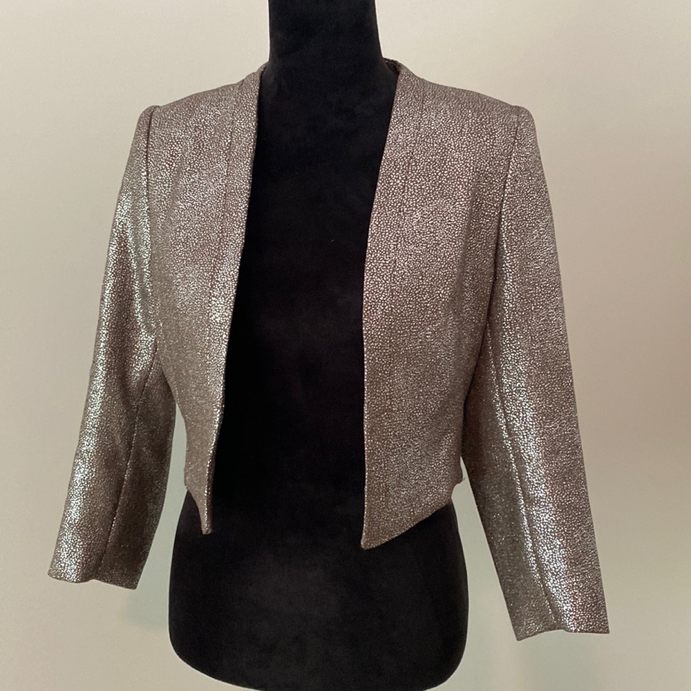 H&M Metallic Jacket